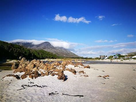 Pringle Bay Beach - 2019 All You Need to Know Before You Go (with ...