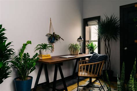 8 Best Office Plants for Your Desk - 8 Low Light Office Plants https://food52.com/blog/25009 ...