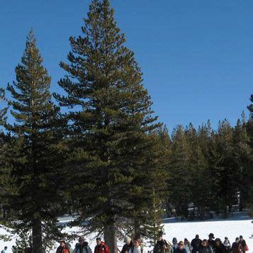 Tahoe Meadows Snow Play Area - Snowshoeing, Sledding