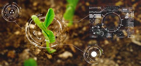 Agricultural Science And Technology Green Synthetic Plant Background ...