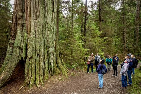 An Evening for Forests Patagonia Event | Sierra Club BC