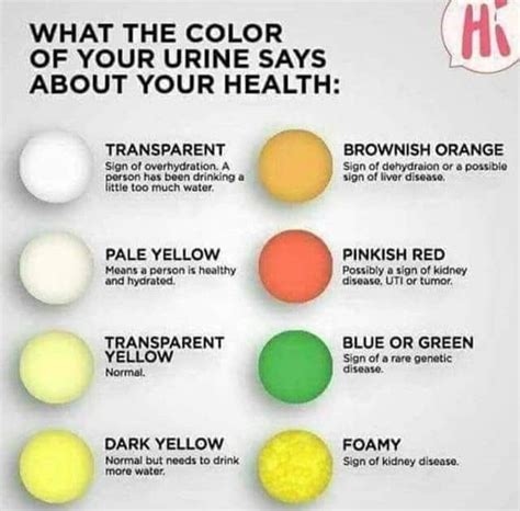 What Color Is Urine When Your Kidneys Are Failing - HealthyKidneyClub.com