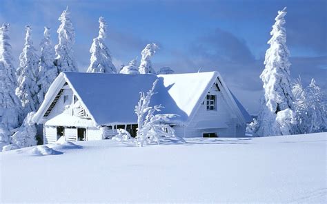 4K Winter Wallpaper - WallpaperSafari