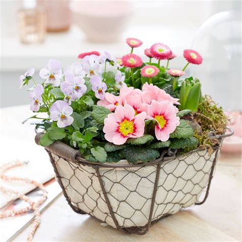 Buy Flowers To Plant Near Me at eliajmcdonald blog