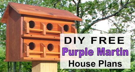 Purple Martin House Plans (Free Printable DIY Directions) – DIY ...