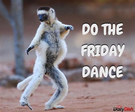 Friday Dance Party Night – Dance Classes For Adults Coquitlam