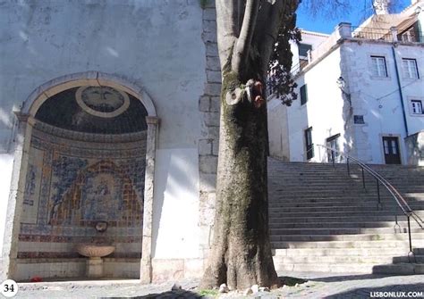 ALFAMA Walking Tour - A Step-by-Step Guide to Lisbon's Oldest Neighborhood