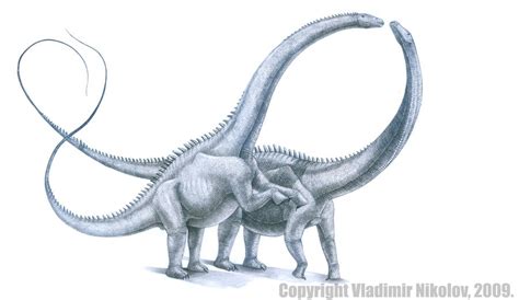 Supersaurus Pictures & Facts - The Dinosaur Database