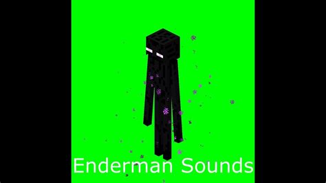 Enderman Sounds Normal & Reverse - YouTube