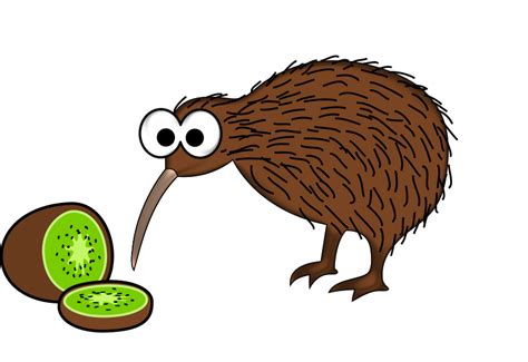 Cartoon kiwi bird with kiwi fruit - Openclipart