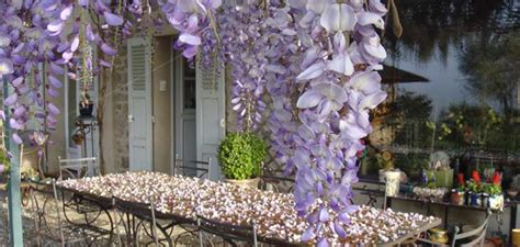 Vacances à Najac - Gite de la Bastide Najac - Séjour en Aveyron