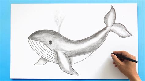 Spouting Whale Drawing 🐋 - YouTube