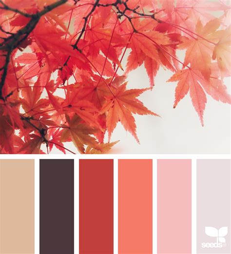 Autumn Glow | Design seeds color palette, Fall color palette, Seeds color