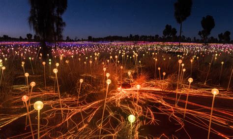 Uluru (Ayers Rock) & Field of Light Experience - Travel2