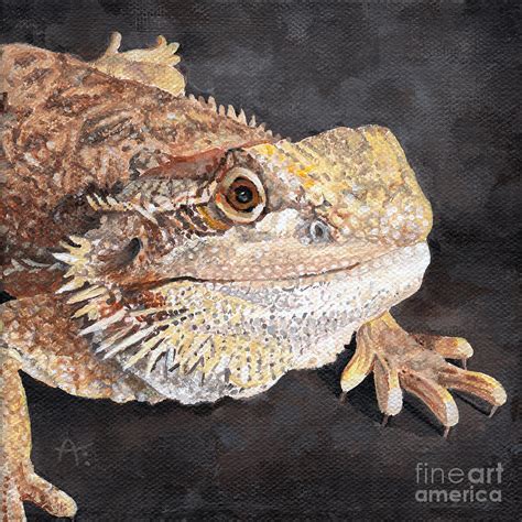 Angus - Bearded Dragon Painting by Annie Troe - Fine Art America