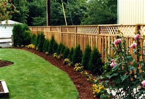 Famous What To Plant Near A Fence 2022