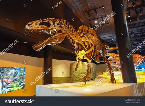 164 Houston Museum Natural Sciences Images, Stock Photos & Vectors | Shutterstock