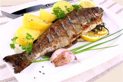 Is Trout Healthy to Eat? - Fishmasters.com