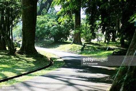 254 Bogor Botanical Garden Stock Photos, High-Res Pictures, and Images - Getty Images