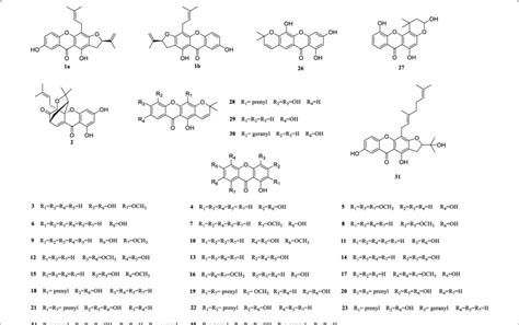 Chemical structures of xanthones 1-31 | Download Scientific Diagram