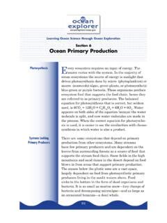 Section 6 Ocean Primary Production / section-6-ocean-primary-production.pdf / PDF4PRO