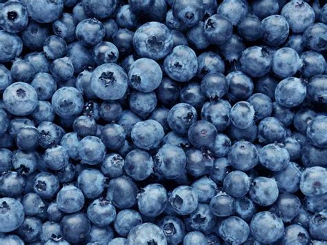 Blueberries 101: Nutrition Facts and Health Benefits