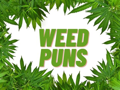 Funny Quotes About Weed