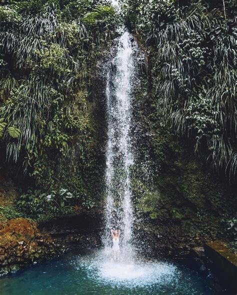 Toraille Falls, Saint Lucia | St lucia, St lucia caribbean, Tourism website