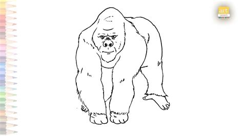 Gorilla outline drawing 2 | How to draw A Gorilla / Primate drawing ...