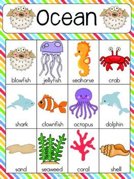 Ocean Vocabulary Cards by The Tutu Teacher | Teachers Pay Teachers