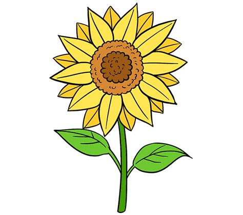 Drawing Common sunflower Painting Art Sketch - sunflower leaf png download - 678*600 - Free ...