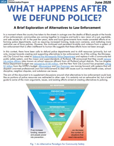 What Happens After We Defund Police? A Brief Exploration of ...