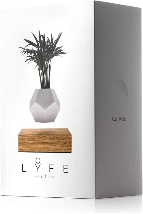 Flyte Lyfe Planter – BigaMart