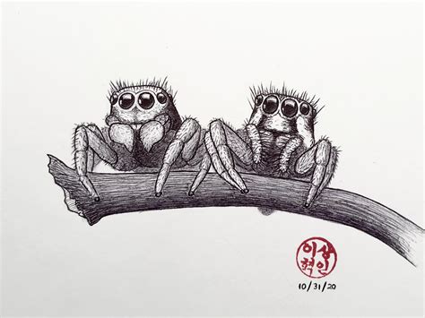 Drew a jumping spider couple w/ ballpoint pen | Spider illustration ...