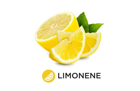 What is a Limonene? Limonene Terpene Definition | Weedmaps