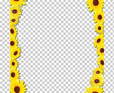 Common Sunflower Borders And Frames Frames PNG, Clipart, Border, Borders, Borders And Frames ...