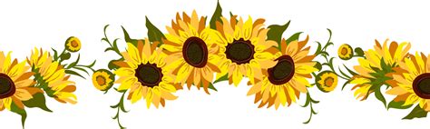 Sunflower Border Flowers 23265628 PNG