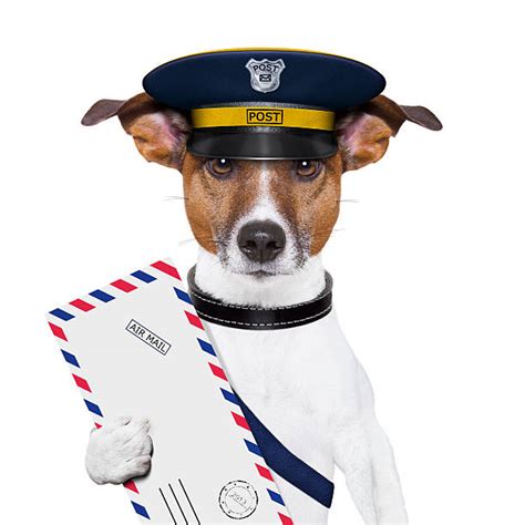 Mailman Funny Stock Photos, Pictures & Royalty-Free Images - iStock