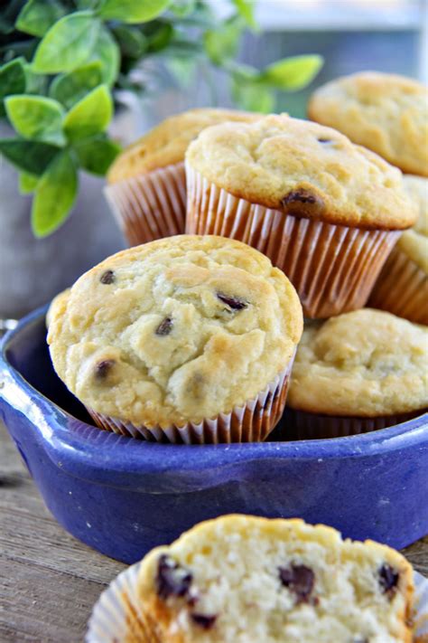 Chocolate Chip Pancake Mix Muffins Recipe | Tonya Staab