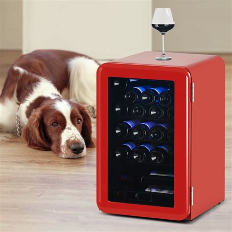 24 Bottle Wine Cooler Refrigerator, Compact Mini Wine Fridge with ...