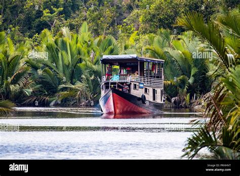 Klotok (tour boat) traveling down the Sekonyer River, Tanjung Puting ...