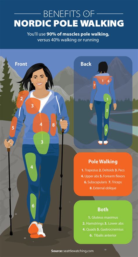 Beginner’s Guide to Nordic Pole Walking: Your Guide to Gear and Technique | Upper abs, Nordic ...