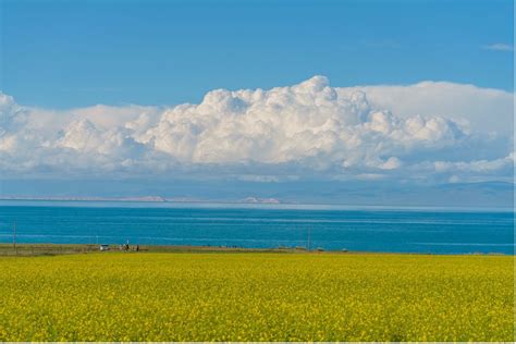 Enjoy stunning scenery along Qinghai Lake