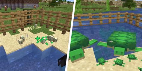 Minecraft: How to Get Turtle Eggs (& What They're For)