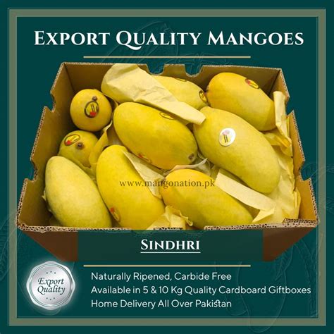 Sindhri Mango Pakistan - Export Quality - Mangonation.pk