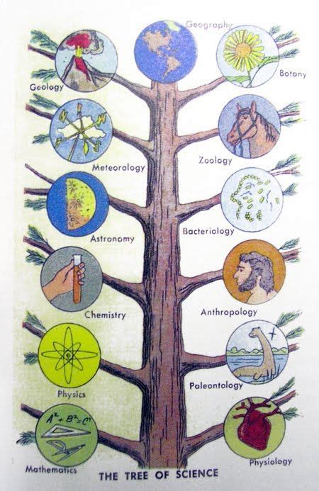 Different Branches of science: List, meanings | It Lesson Education