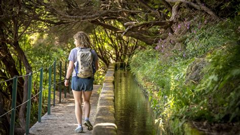 A first-time guide to Madeira - Lonely Planet