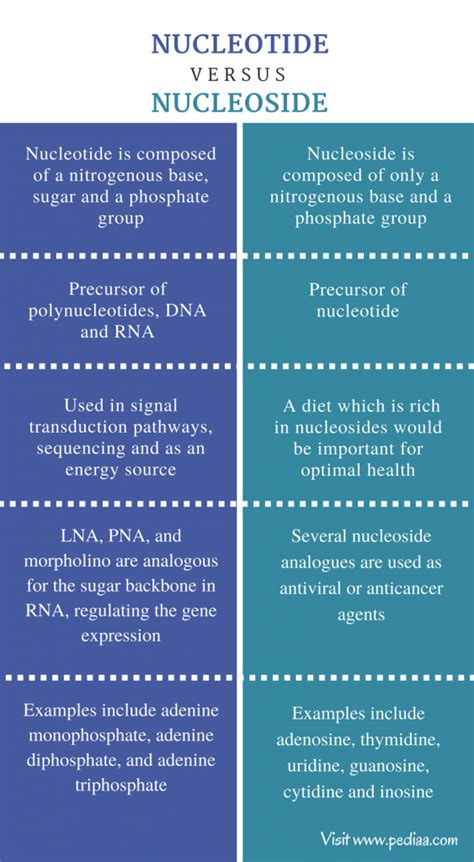 Difference Between Nucleotide and Nucleoside | Structure ...