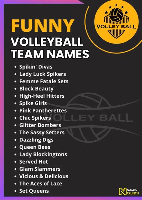 List of Funny Volleyball Team Names - Names Crunch