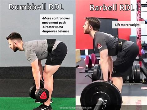 Top 3 Dumbbell Romanian Deadlift Variations For Hamstrings & Glutes